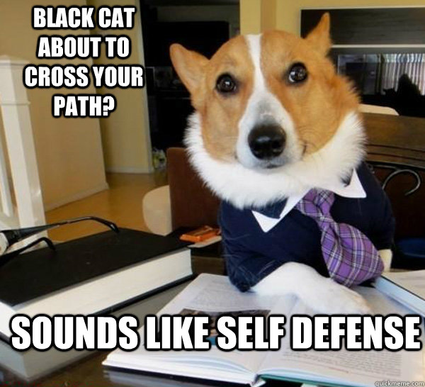 black cat about to cross your path? sounds like self defense  Lawyer Dog