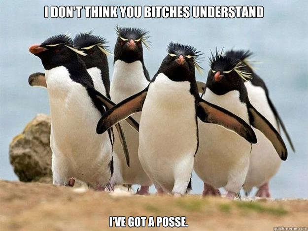 I don't think you bitches understand I've got a posse. - I don't think you bitches understand I've got a posse.  Penguin