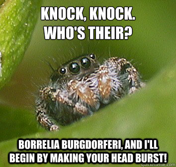 Knock, Knock.
Who's their? Borrelia burgdorferi, and i'll begin by making your head burst!  Misunderstood Spider