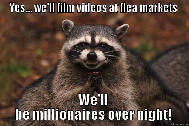 YES... WE'LL FILM VIDEOS AT FLEA MARKETS WE'LL BE MILLIONAIRES OVER NIGHT! Evil Plotting Raccoon