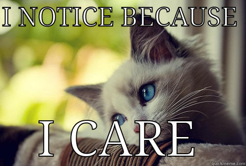 I NOTICE BECAUSE  I CARE First World Problems Cat