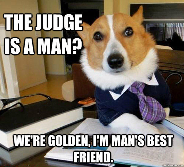 The judge is a man? we're golden, i'm man's best friend.   