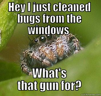 HEY I JUST CLEANED BUGS FROM THE WINDOWS  WHAT'S THAT GUN FOR? Misunderstood Spider