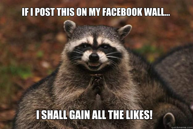 If I post this on my facebook wall... i shall gain all the likes! - If I post this on my facebook wall... i shall gain all the likes!  Evil Plotting Raccoon