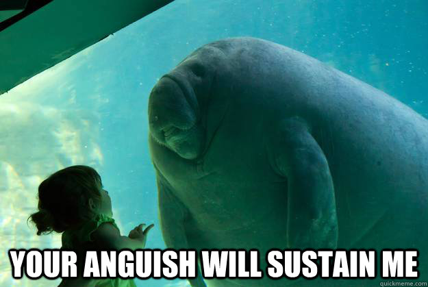  Your Anguish will sustain me -  Your Anguish will sustain me  Overlord Manatee