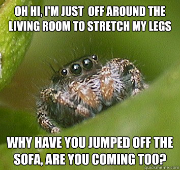 Oh Hi, I'm just  off around the living room to stretch my legs Why have you jumped off the sofa, are you coming too?  Misunderstood Spider