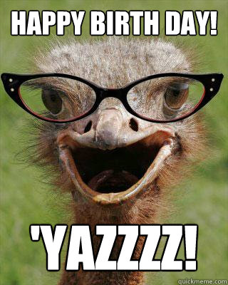 HAPPY BIRTH DAY! 'YAZZZZ! - HAPPY BIRTH DAY! 'YAZZZZ!  Judgmental Bookseller Ostrich