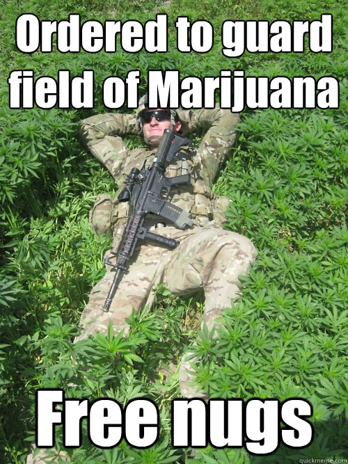 Ordered to guard field of Marijuana Free nugs  Stoner Soldier