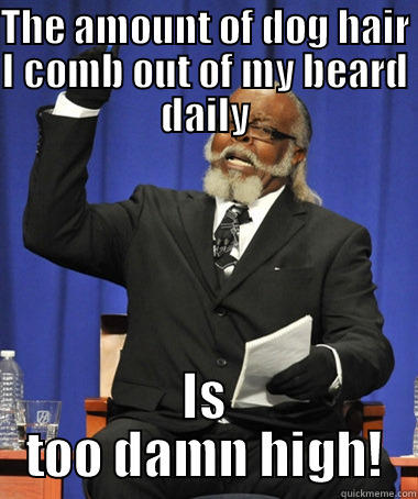 THE AMOUNT OF DOG HAIR I COMB OUT OF MY BEARD DAILY IS TOO DAMN HIGH! The Rent Is Too Damn High