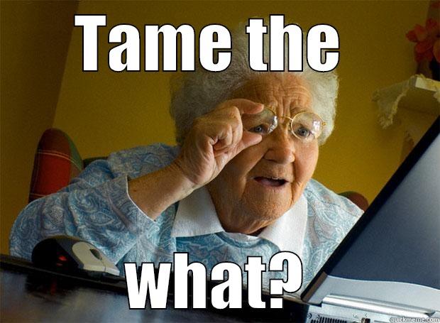 TAME THE  WHAT? Grandma finds the Internet