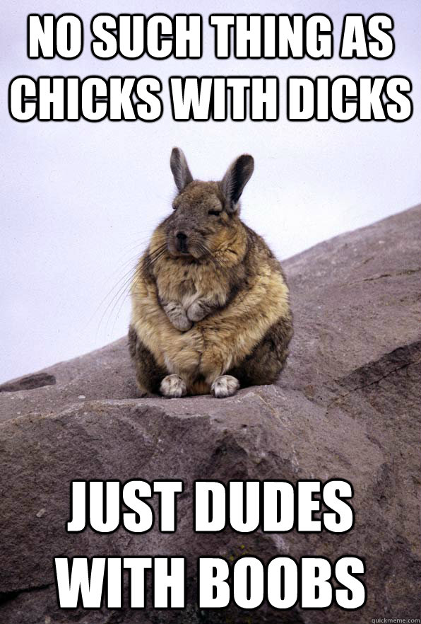 No such thing as chicks with dicks just dudes with boobs  Wise Wondering Viscacha