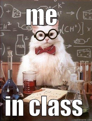 ME  IN CLASS Chemistry Cat