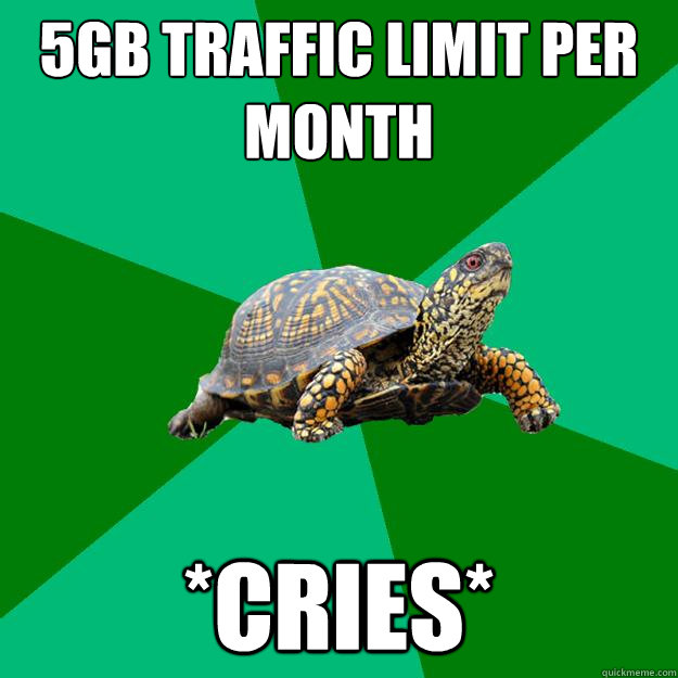 5GB traffic limit per month *cries*  Torrenting Turtle