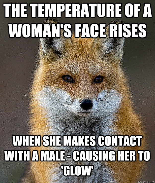 The temperature of a woman's face rises when she makes contact with a male - causing her to 'glow'  Fun Fact Fox