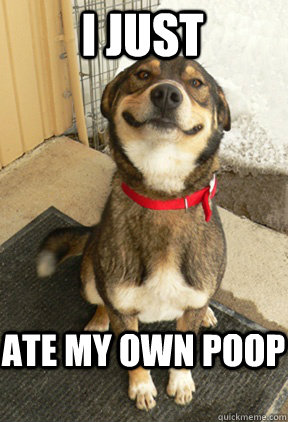 i just ate my own poop  Good Dog Greg