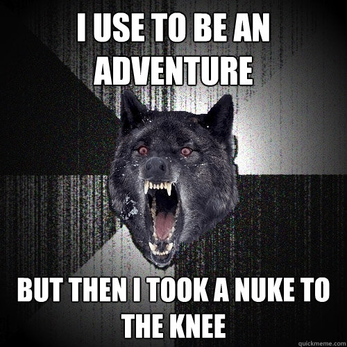 I use to be an adventure  but then I took a Nuke to the knee   Insanity Wolf