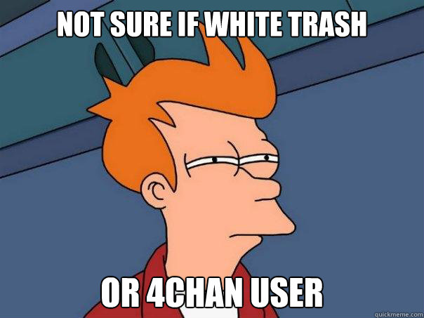 Not sure if white trash or 4chan user - Not sure if white trash or 4chan user  Futurama Fry