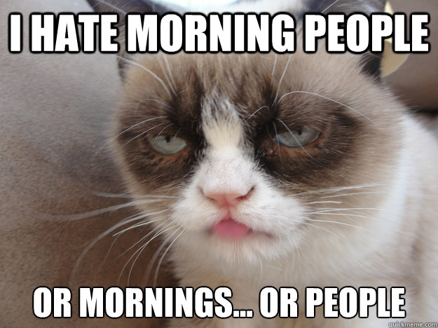 I HATE MORNING PEOPLE Memes Quickmeme