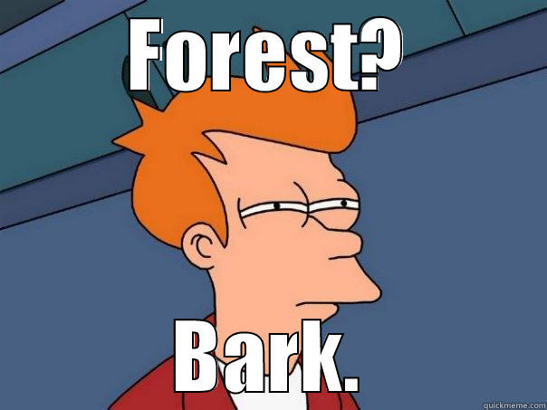 Forest and Bark - FOREST? BARK. Futurama Fry