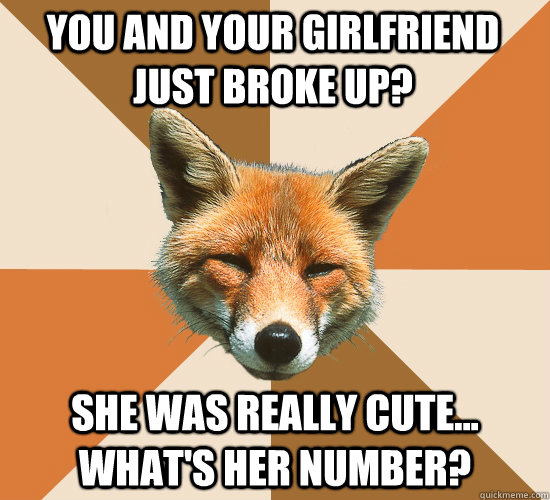 You and your girlfriend just broke up? She was really cute... What's her number?  Condescending Fox