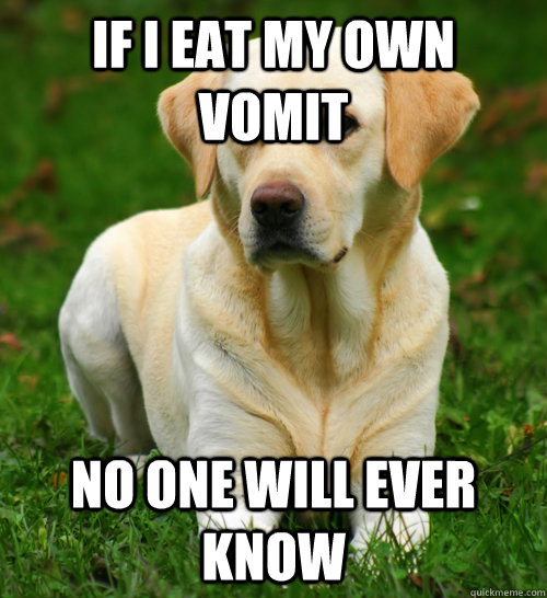 If i eat my own vomit no one will ever know  Dog Logic