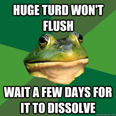 huge turd won't flush wait a few days for it to dissolve - huge turd won't flush wait a few days for it to dissolve  Foul Bachelor Frog