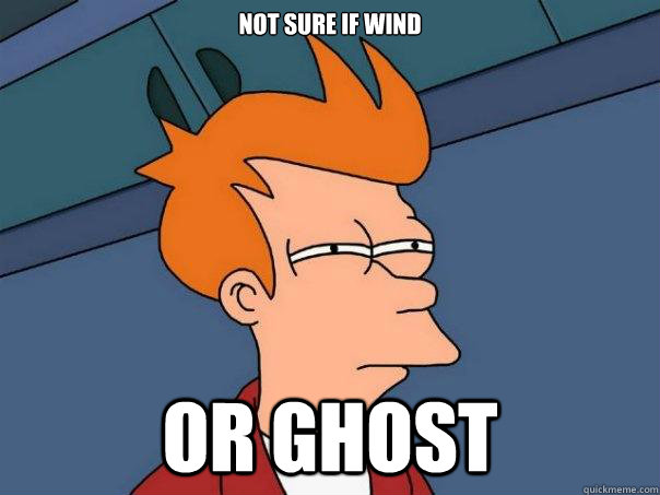 not sure if wind or ghost  Futurama Fry