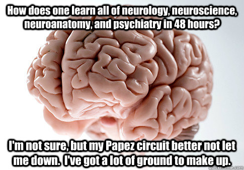 How does one learn all of neurology, neuroscience, neuroanatomy, and psychiatry in 48 hours? I'm not sure, but my Papez circuit better not let me down.  I've got a lot of ground to make up.   Scumbag Brain