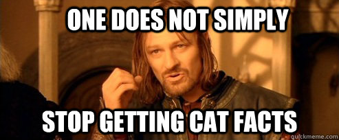 One does not simply stop getting cat facts  One Does Not Simply