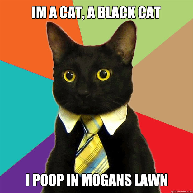 Im a Cat, a black cat I poop in mogans lawn  Business Cat