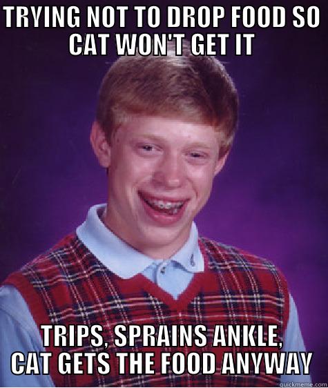 I even gave him his own full dish of food before serving myself! - TRYING NOT TO DROP FOOD SO CAT WON'T GET IT TRIPS, SPRAINS ANKLE, CAT GETS THE FOOD ANYWAY Bad Luck Brian