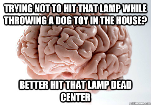 trying not to hit that lamp while throwing a dog toy in the house? better hit that lamp dead center  Scumbag Brain