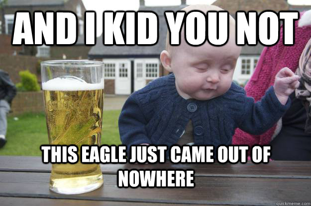 And i kid you not this eagle just came out of nowhere  - And i kid you not this eagle just came out of nowhere   drunk baby