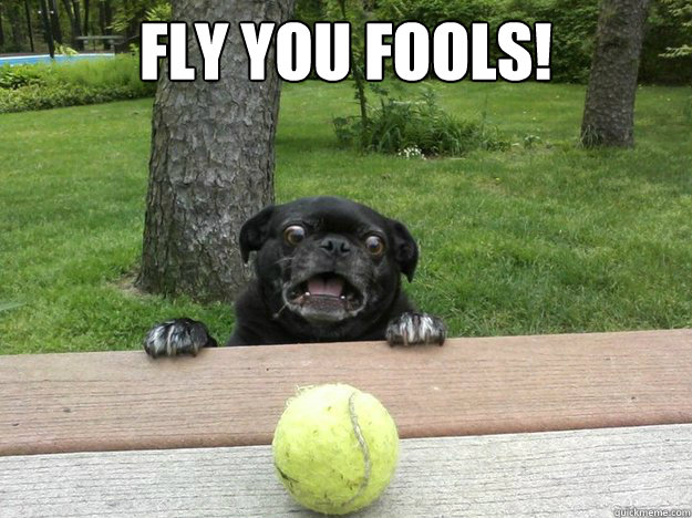 Fly you fools!   