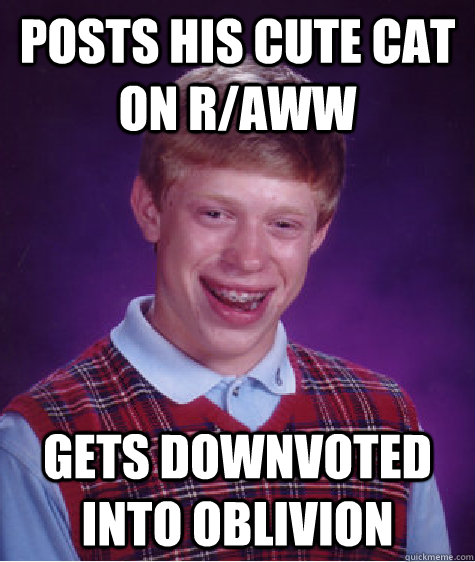 Posts his cute cat on r/aww  gets downvoted into oblivion  Bad Luck Brian