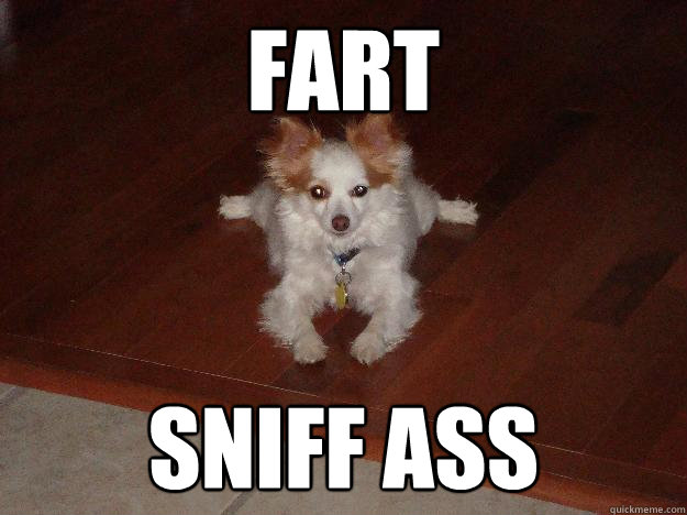 fart  sniff ass  