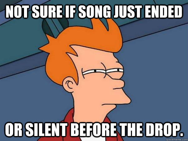 Not sure if song just ended or silent before the drop.  Futurama Fry