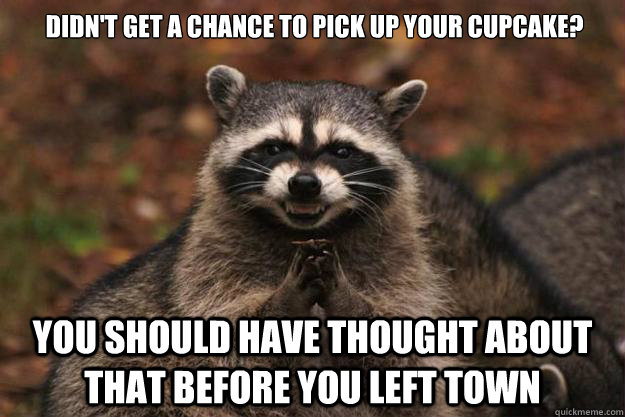 Didn't get a chance to pick up your cupcake? You should have thought about that before you left town  Evil Plotting Raccoon