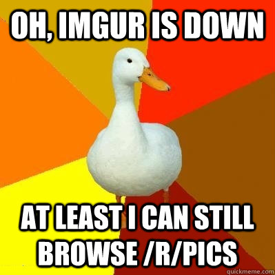 oh, imgur is down at least i can still browse /r/pics  Tech Impaired Duck