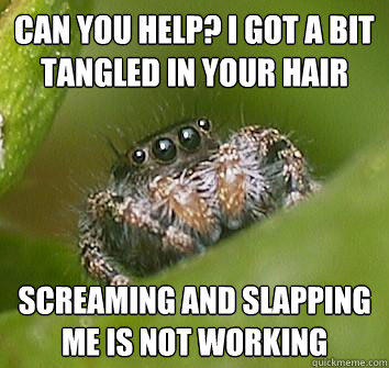 can you help? i got a bit tangled in your hair screaming and slapping me is not working  