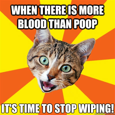 When there is more blood than poop  It's time to stop wiping!  Bad Advice Cat