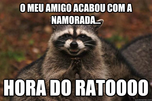 O meu amigo acabou com a namorada... HORA DO RATOOOO  Evil Plotting Raccoon