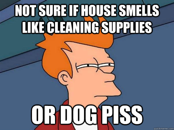 Not sure if house smells like cleaning supplies Or dog piss  Futurama Fry