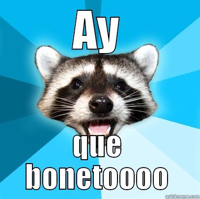 AY QUE BONETOOOO Lame Pun Coon