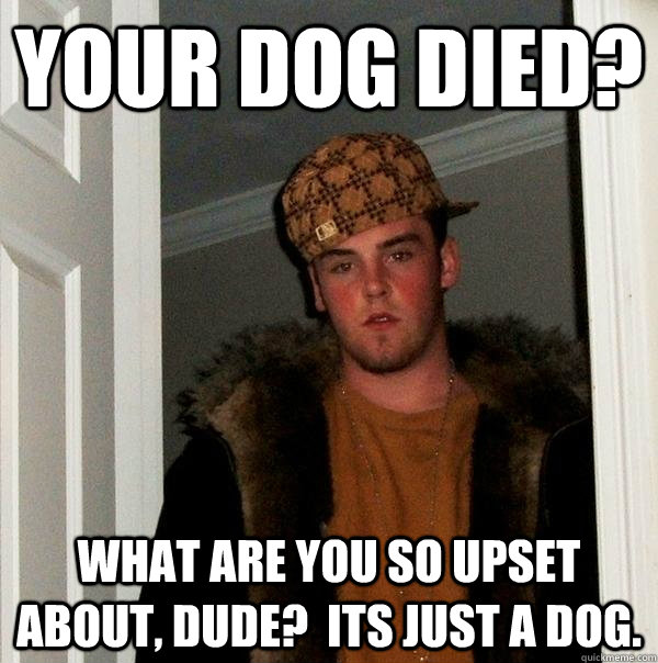 Your dog died? what are you so upset about, dude?  Its just a dog. - Your dog died? what are you so upset about, dude?  Its just a dog.  Scumbag Steve