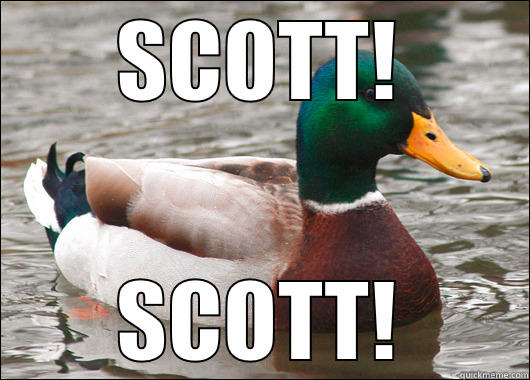 Memes that don't make sense - SCOTT! SCOTT! Actual Advice Mallard