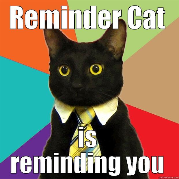 Reminder Cat - REMINDER CAT IS REMINDING YOU Business Cat