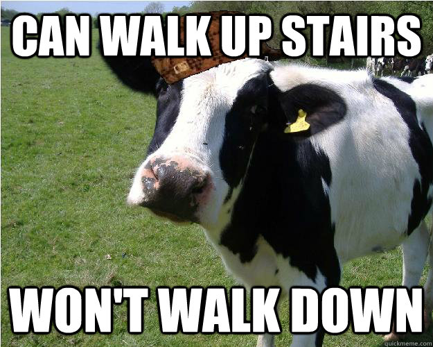 Can walk Up stairs Won't walk down - Can walk Up stairs Won't walk down  Misc