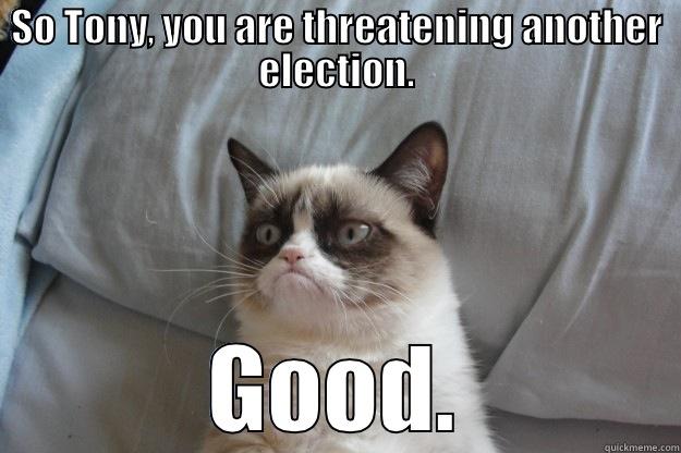 SO TONY, YOU ARE THREATENING ANOTHER ELECTION. GOOD. Grumpy Cat