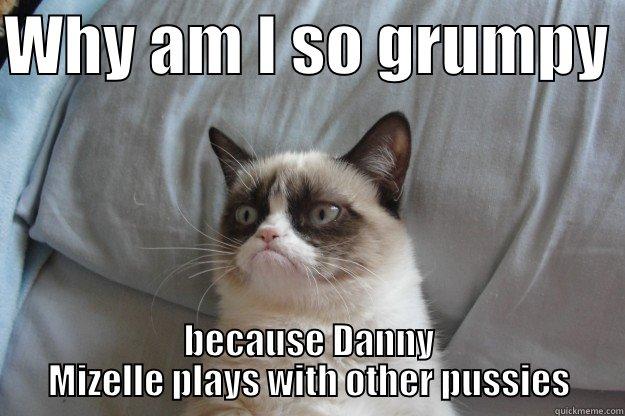 WHY AM I SO GRUMPY  BECAUSE DANNY MIZELLE PLAYS WITH OTHER PUSSIES Grumpy Cat